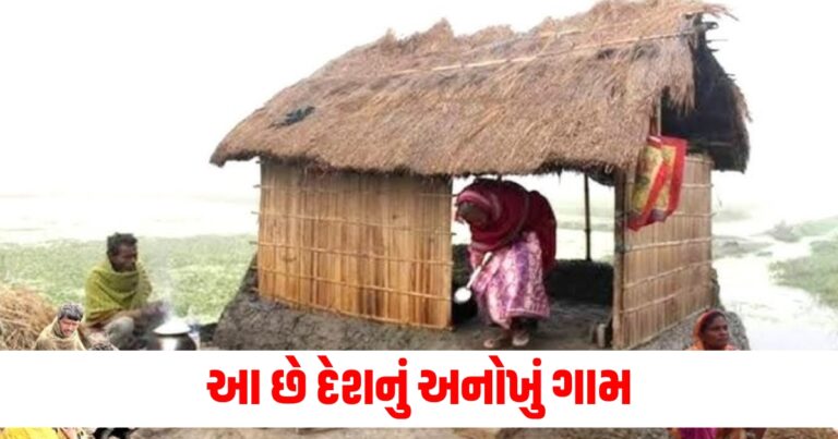 "Mehsana, Chandanki Village, unique village, kitchen, Gujarati news,