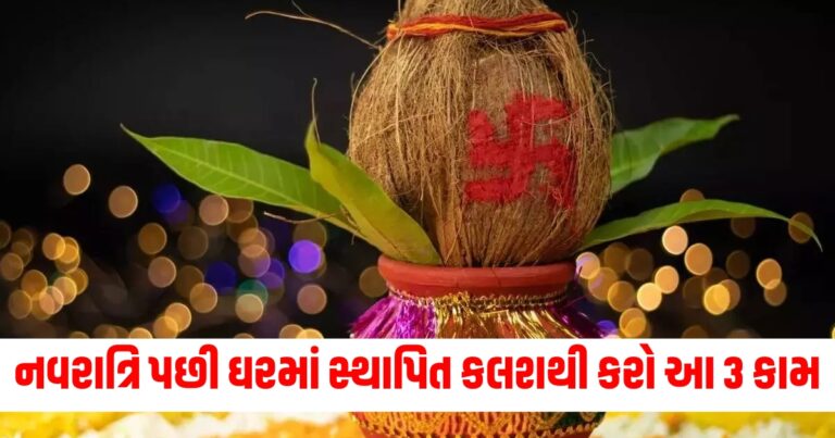 નવરાત્રિ, શારદીય નવરાત્રી-2024, શારદીય નવરાત્રીના ઉપાયો, Sharadiya Navratri-2024,