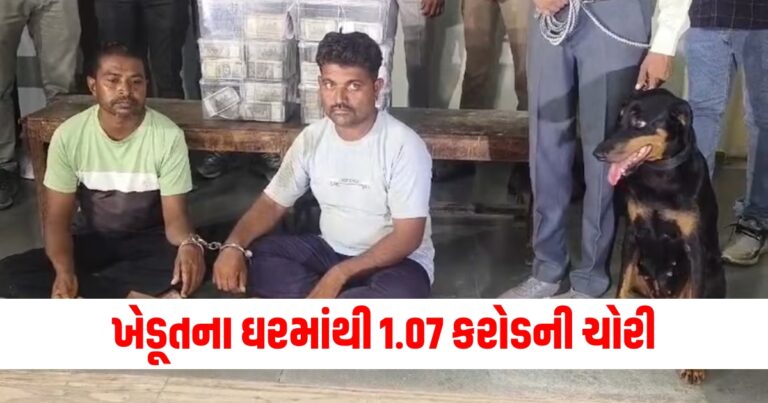 ખેડૂત, 1 crore stolen, ahmedabad news, dog squad, ahmedabad police,