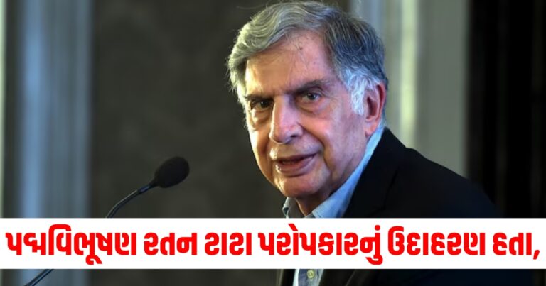 રતન ટાટા, ratan tata successor