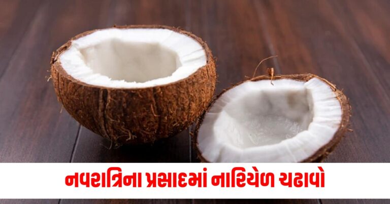 નવરાત્રિ,