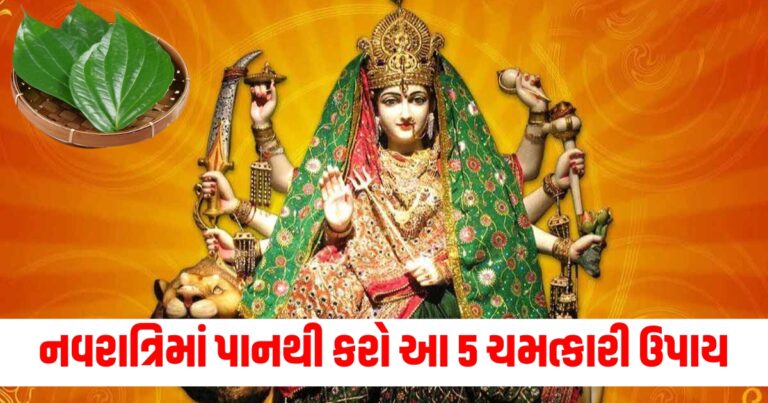 નવરાત્રિ,