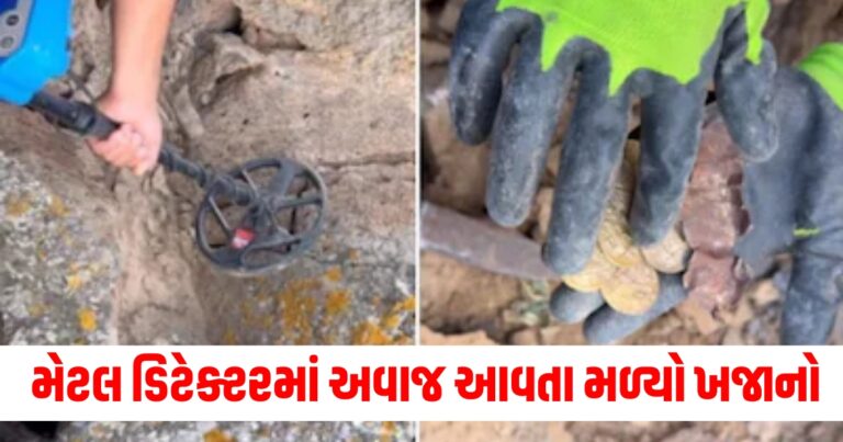 મેટલ ડિટેક્ટર, Treasure found in ground , treasure under mountain, hidden treasure ,