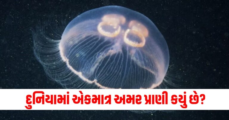 શું તમે જાણો છો કે દુનિયામાં એકમાત્ર અમર પ્રાણી કયું છે? તે મૃત્યુથી કેવી રીતે બચે છે