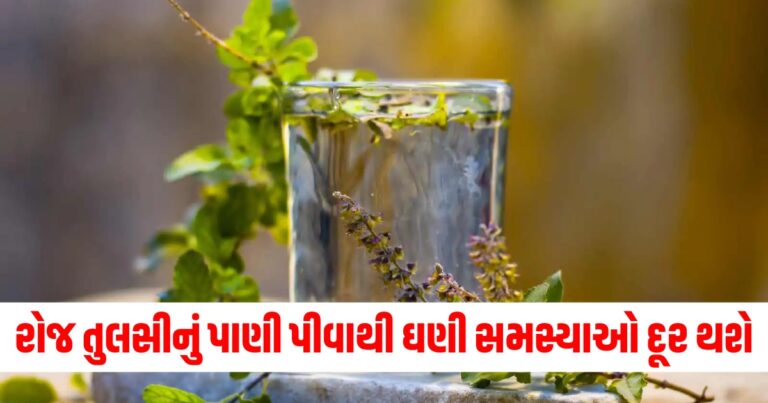 રોજ તુલસીનું પાણી પીવાથી ઘણી સમસ્યાઓ દૂર થશે, તેને બનાવવું પણ ખૂબ જ સરળ