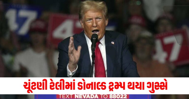 'અમેરિકનોની , US elections latest updates, Donald Trump, US elections, death penalty for migrants, US elections,