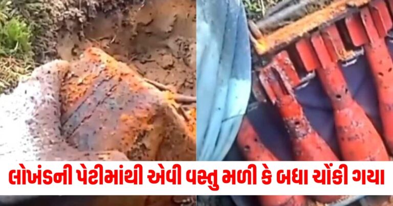 લોખંડની પેટી, offbeat news,