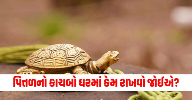 પિત્તળનો કાચબો, Vastu Tips,