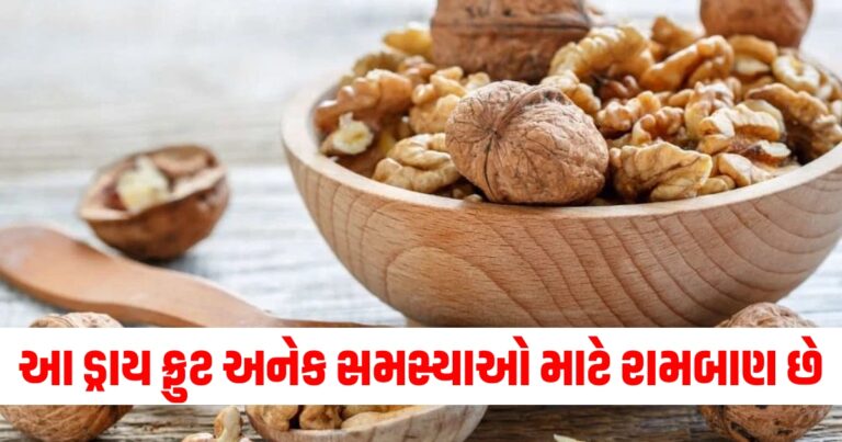 આ ડ્રાય ફ્રુટ કોલેસ્ટ્રોલ અને બીપી સહિતની અનેક સમસ્યાઓ માટે રામબાણ સાબિત થશે.