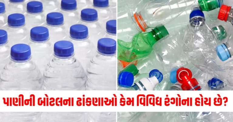 પાણીની બોટલ, Offbeat news,