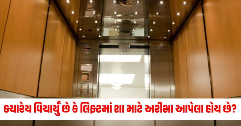 અરીસા, Offbeat News,