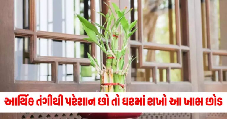 બીમારી અને આર્થિક તંગી, vastu tips,