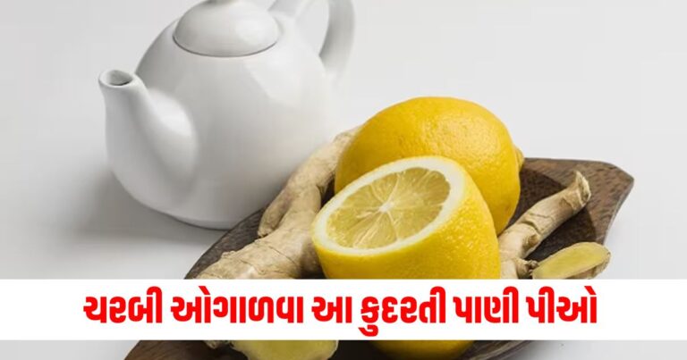 શરીરમાં જામેલી વધારાની ચરબી ઓગાળવા લીંબુ અને આદુથી બનેલું આ કુદરતી પાણી પીઓ