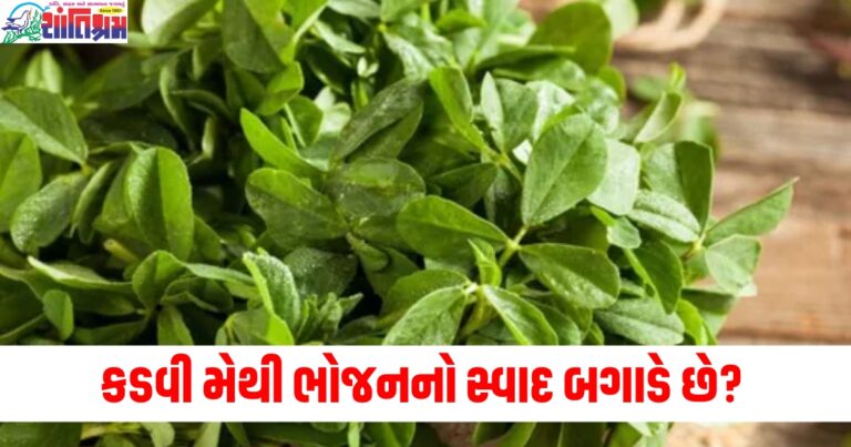 કડવી મેથી ભોજનનો સ્વાદ બગાડે છે? તો કડવાશ દૂર કરવા અનુસરો આ ટિપ્સ