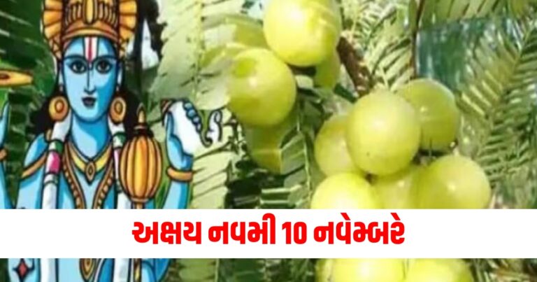 અક્ષય નવમી 10 નવેમ્બરે આમળાના ઝાડની પૂજા થશે, જાણો આ દિવસે શું કરવું જોઈએ