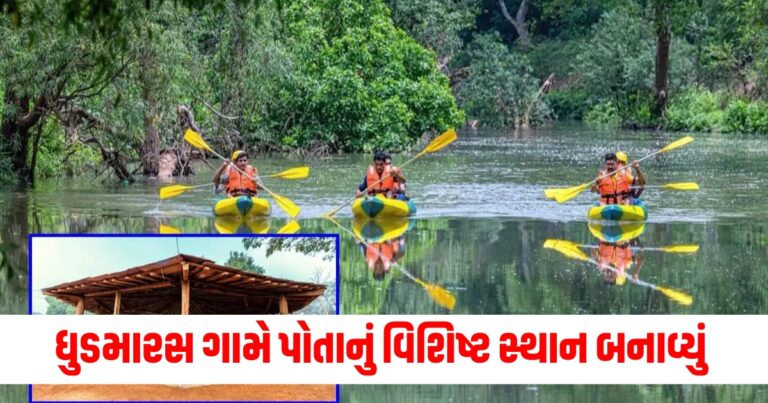 છત્તીસગઢના ધુડમારસ ગામે પોતાનું વિશિષ્ટ સ્થાન બનાવ્યું, આ ખિતાબ હાંસલ કર્યો