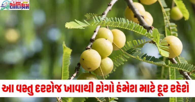 આ એક વસ્તુ શરીરને વૃદ્ધાવસ્થા સુધી યુવાન રાખશે, દરરોજ ખાવાથી રોગો હંમેશ માટે દૂર રહેશે