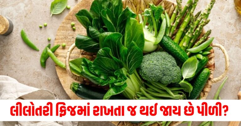 લીલોતરી (Green chilies), ફ્રિજ (Fridge), પીળી (Yellowing), સ્ટોર (Store), વિધિ (Method), તાજું (Fresh), રક્ષવા (Preserve), નિર્ભરતા (Dependability), આહાર (Food), સંગ્રહણ (Storage),