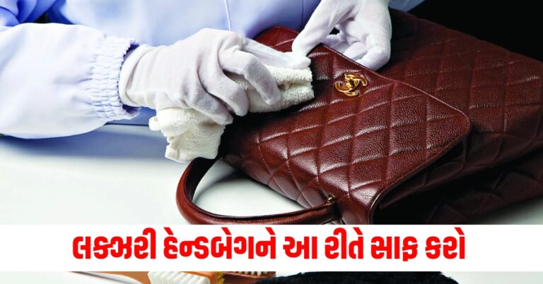 લક્ઝરી હેન્ડબેગ (Luxury handbag), બગડશે નહીં (Won't get damaged), સાફ કરો (Clean), કાળજી રાખો (Take care),