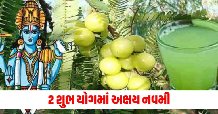 2 શુભ યોગમાં અક્ષય નવમી, જાણો સવારથી સાંજ સુધીની પૂજાનો શુભ સમય