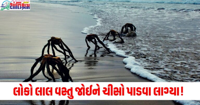 દરિયા કિનારે લોકોને રેતીમાં એક લાલ વસ્તુ દેખાઈ, જોઈને અચાનક ચીસો પાડવા લાગ્યા!