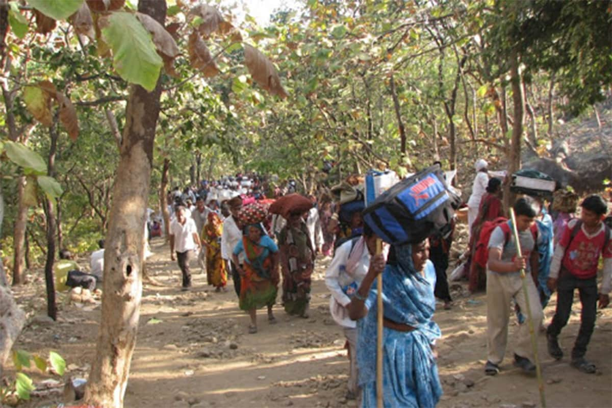 shantishram girnar lili parikrama