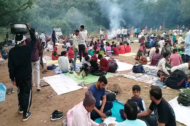 shantishram girnar lili parikrama