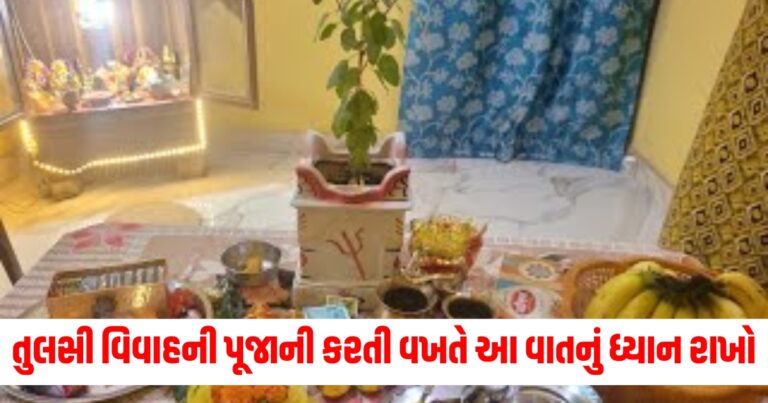 તુલસી વિવાહની પૂજામાં ભૂલથી પણ આ વસ્તુનો ઉપયોગ ન કરો, પૂજા કરતી વખતે આ વાતનું ધ્યાન રાખો