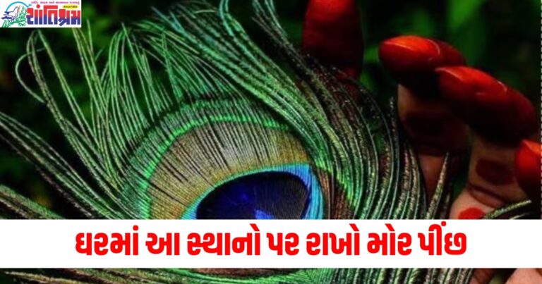 ઘરમાં આ સ્થાનો પર રાખો મોર પીંછ, પરિવારમાં આવશે સુખ-સમૃદ્ધિ