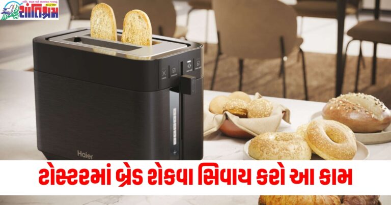 ટોસ્ટરમાં બ્રેડ શેકવા સિવાય કરો આ કામ, જલ્દીથી થઈ જશે