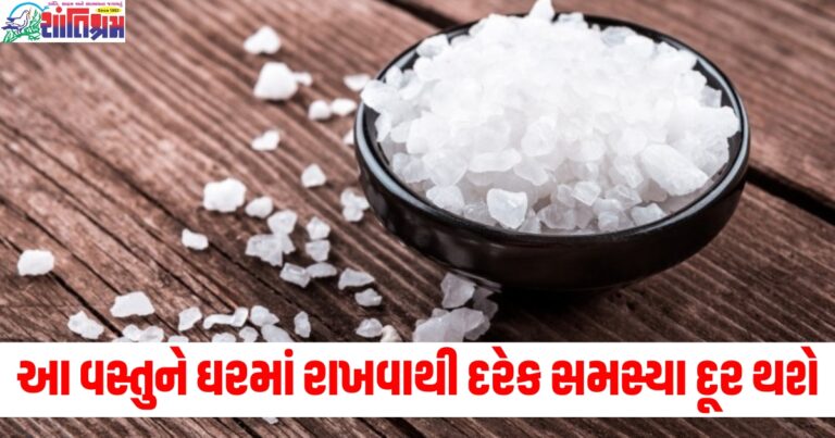 આ વસ્તુને ઘરમાં રાખવાથી દરેક સમસ્યા દૂર થશે, વાસ્તુ દોષ અને ગ્રહોની પરેશાનીઓથી મળશે મુક્તિ