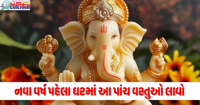 નવા વર્ષ પહેલા તમારા ઘરમાં આ પાંચ વસ્તુઓ લાવો, બધી સમસ્યાઓ દૂર થઈ જશે.