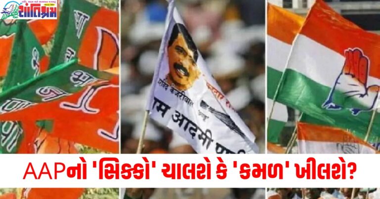 AAPનો 'સિક્કો' ચાલશે કે 'કમળ' ખીલશે, બંને પક્ષોમાં ચાલી રહી છે ચેક-મેટની 'ગેમ'