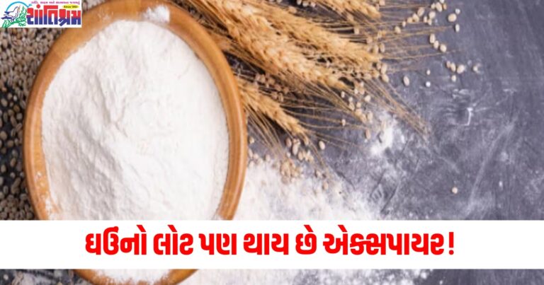 ઘઉંનો લોટ (Wheat flour), એક્સપાયર (Expire), લોટ ખરાબ (Flour gone bad), ચાખવું (Taste test), દ્રાવક (Smell test),