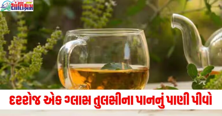 દરરોજ એક ગ્લાસ તુલસીના પાનનું પાણી પીવો, આ સ્વાસ્થ્ય સમસ્યાઓ જડમૂળથી દૂર થઈ જશે.