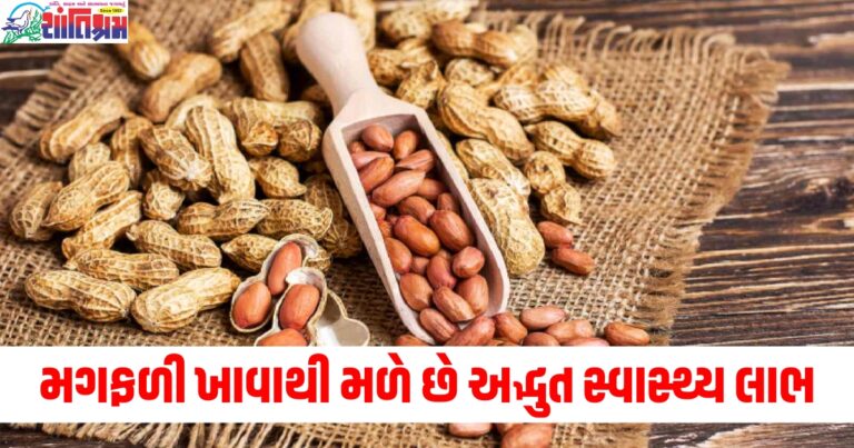 મગફળી ખાવાથી મળે છે અદ્ભુત સ્વાસ્થ્ય લાભ, જાણો શિયાળામાં તેનું સેવન કેમ કરવું જોઈએ?