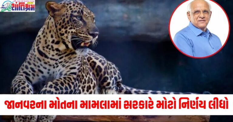 વન્ય પ્રાણીઓના કારણે માનવ કે જાનવરના મોતના મામલામાં ગુજરાત સરકારે મોટો નિર્ણય લીધો