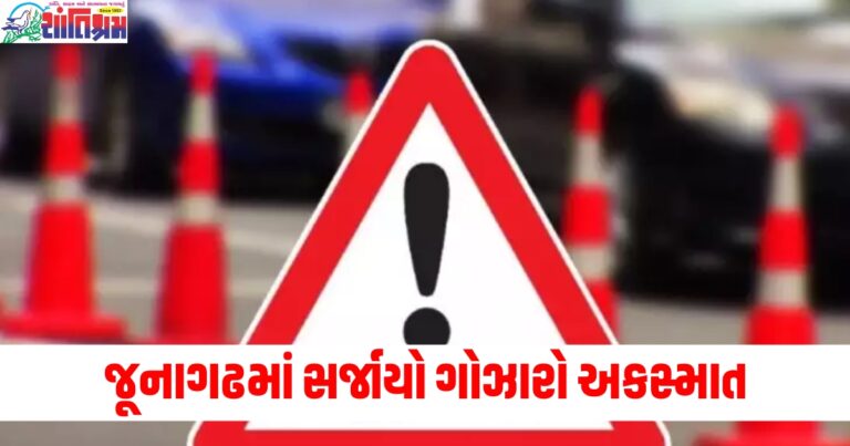 જૂનાગઢમાં સર્જાયો ગોઝારો અકસ્માત, એક ભૂલના કારણે 7 લોકોએ જીવ ગુમાવ્યો