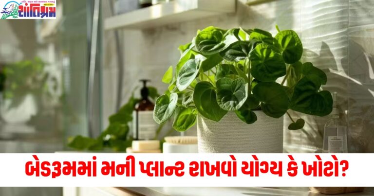 બેડરૂમમાં મની પ્લાન્ટ રાખવો યોગ્ય કે ખોટો? અહીં જાણો વાસ્તુ નિયમો