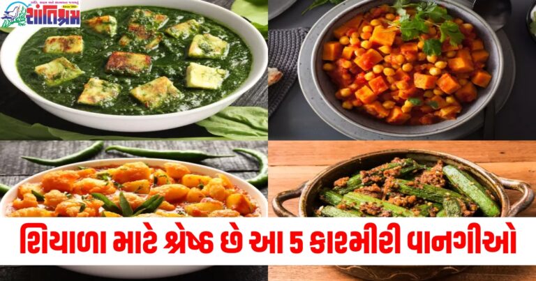 શિયાળા માટે શ્રેષ્ઠ છે આ 5 કાશ્મીરી વાનગીઓ, જાણો તેને બનાવવાની રેસિપી.