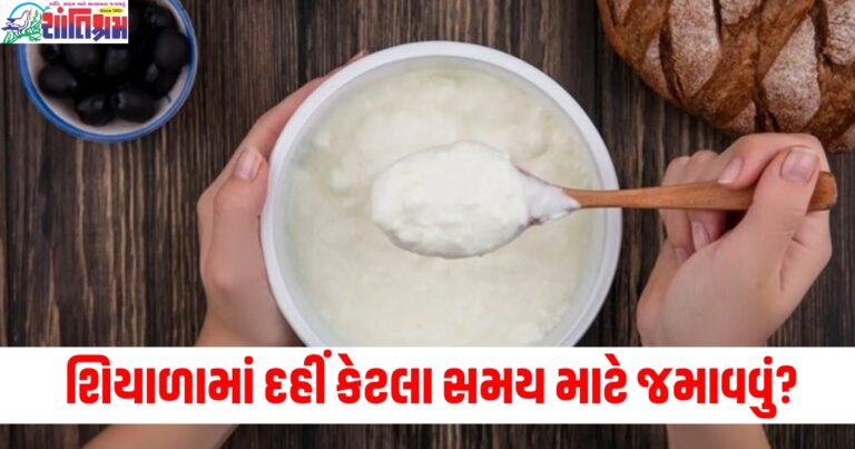 ઉનાળામાં 4-5 કલાક અને શિયાળામાં દહીં ક્યારે અને કેટલા સમય માટે જમાવવું? અહીં જાણો દહીં બનાવવાની સરળ રીત