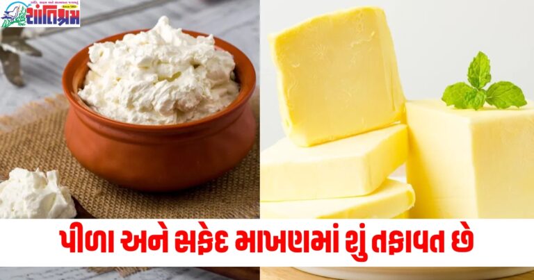 પીળા અને સફેદ માખણમાં શું તફાવત છે, જાણો ફાયદામાં ક્યુ નંબર વન