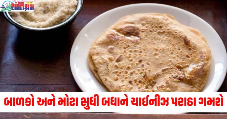 બાળકો અને મોટા સુધી બધાને ચાઈનીઝ પરાઠા ગમશે, તેને આ સ્ટેપ્સથી સોફ્ટ અને ટેસ્ટી બનાવો