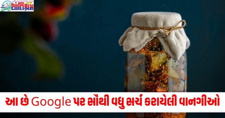 આ વર્ષે કેરીના અથાણાથી લઈને કાંજી સુધી, આ છે Google પર સૌથી વધુ સર્ચ કરાયેલી વાનગીઓ