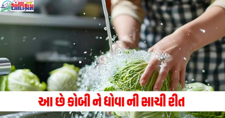 કોબીનો કચરો (Cabbage waste), પાણીમાં સાફ (Cleaning with water), બહાર નહીં આવે (Won't come out), કાપવાની (Cutting), ધોવાની (Washing), રાંધવાની (Cooking),