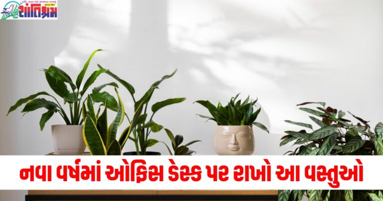 નવા વર્ષમાં (In the new year), ઓફિસ ડેસ્ક (Office desk), રાખો (Keep), વસ્તુઓ (Things), તમારી પ્રગતિ (Your progress), રોકી શકશે નહીં (Will not be stopped),