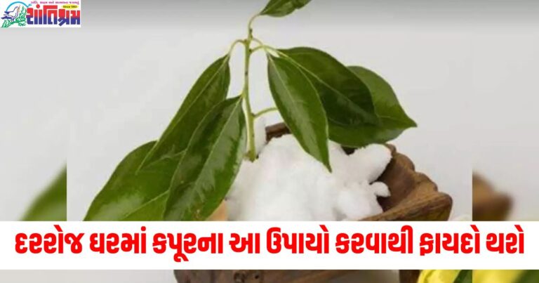 દરરોજ ઘરમાં કપૂરના આ ઉપાયો કરવાથી ફાયદો થશે અને ઘરના વાસ્તુ દોષ પણ દૂર થશે.