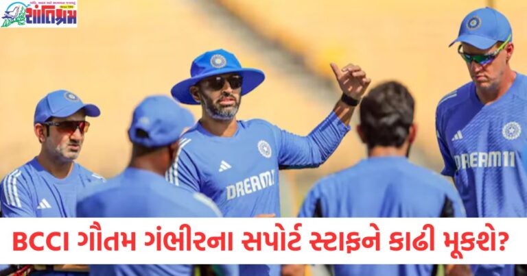 BCCI, ગૌતમ ગંભીર, સપોર્ટ સ્ટાફ, કાઢી મુકવું, નવી નોકરી, કોચ,