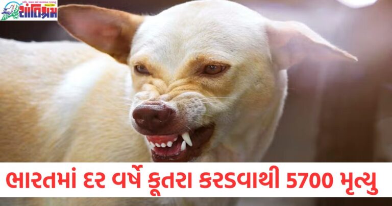 ભારતમાં દર વર્ષે કૂતરા કરડવાથી 5700 મૃત્યુ થાય છે, 15 રાજ્યોમાં સર્વે હાથ ધરવામાં આવ્યો