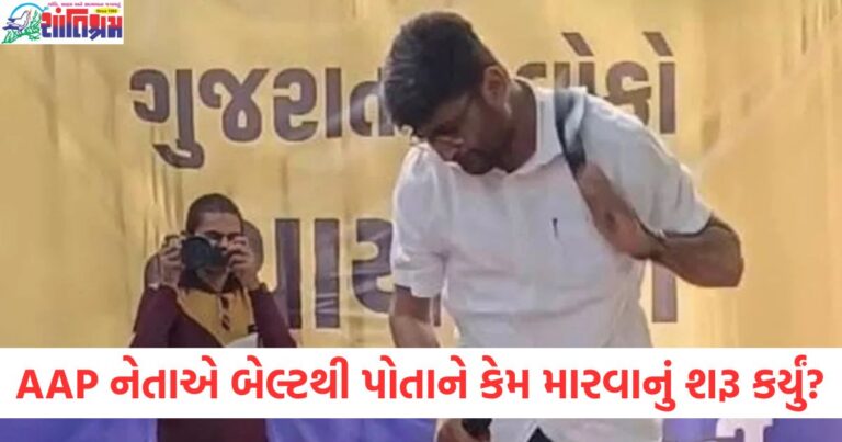 AAP નેતા, (AAP leader), અન્નામલાઈ, (Annamalai), બેલ્ટથી, મારવું, (Hitting with a belt), કારણ ,(Reason), પ્રદર્શન, (Protest), સંસદ, સભ્ય, (Legislator), વિરોધ, (Protest),